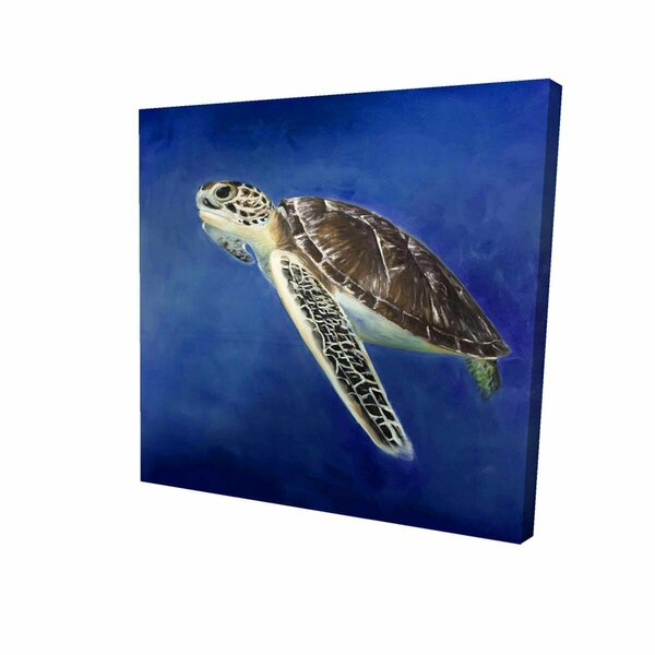 Fondo 12 x 12 in. Beautiful Sea Turtle-Print on Canvas FO2773686